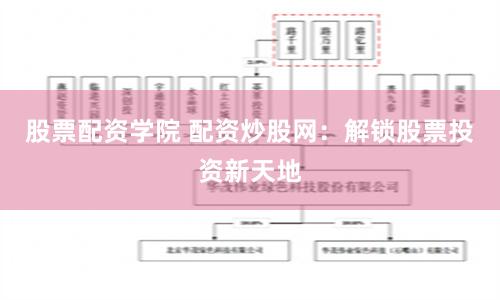 股票配资学院 配资炒股网：解锁股票投资新天地